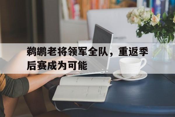 鹈鹕老将领军全队，重返季后赛成为可能的简单介绍